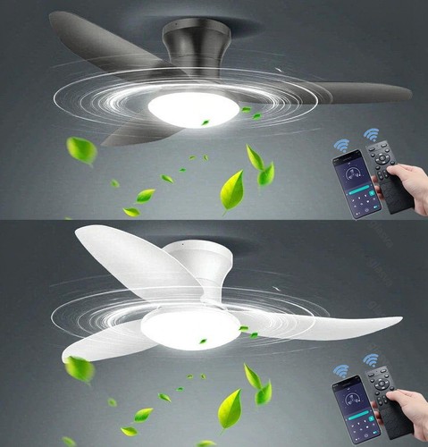 Low profile ceiling fan - profile,