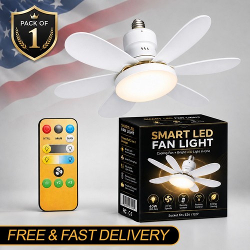 Socket ceiling fan - ceiling,
