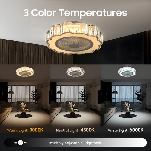 Ceiling fan light with - 23'',