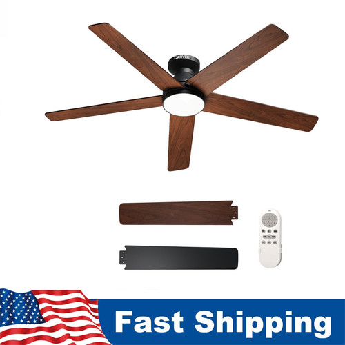Ceiling fan with - /,