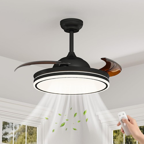 Ceiling fan with - fan,